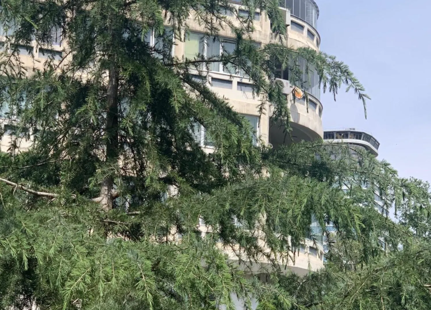 Apartment In The Heart Of Tbilisi
