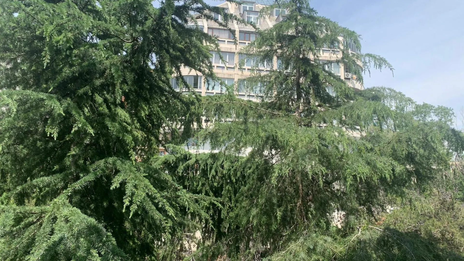 Apartment In The Heart Of Tbilisi